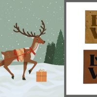 Adventskalender 2025 - Türchen 11 geht auf!