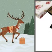 Adventskalender 2025 - Wir öffnen das Türchen Nr. 19!