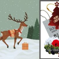 Adventskalender 2025 - Das 8. Türchen ist auf!